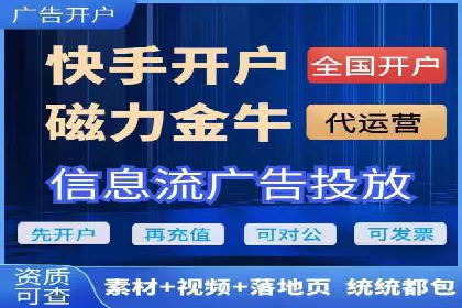 成功SEM代理案例：精准投放的策略